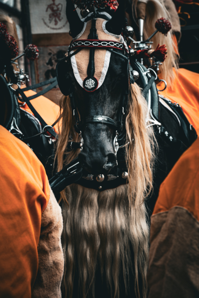 Carnevale di Ivrea 2024 - Photo by Chloe