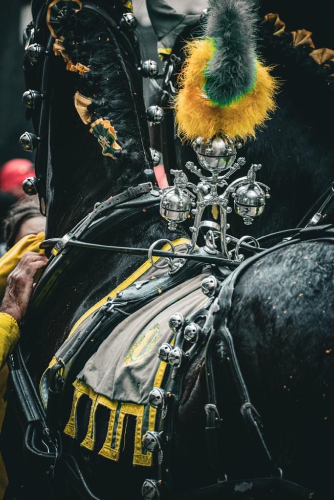 Carnevale di Ivrea 2024 - Photo by Joey Shaw