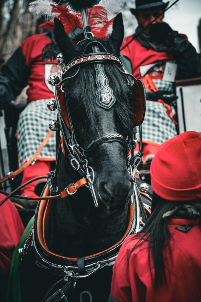 Carnevale di Ivrea 2024 - Photo by Joey Shaw