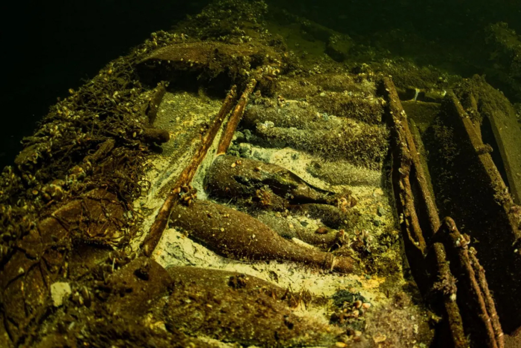 Trovate oltre 100 bottiglie di champagne su di un relitto al largo della Svezia