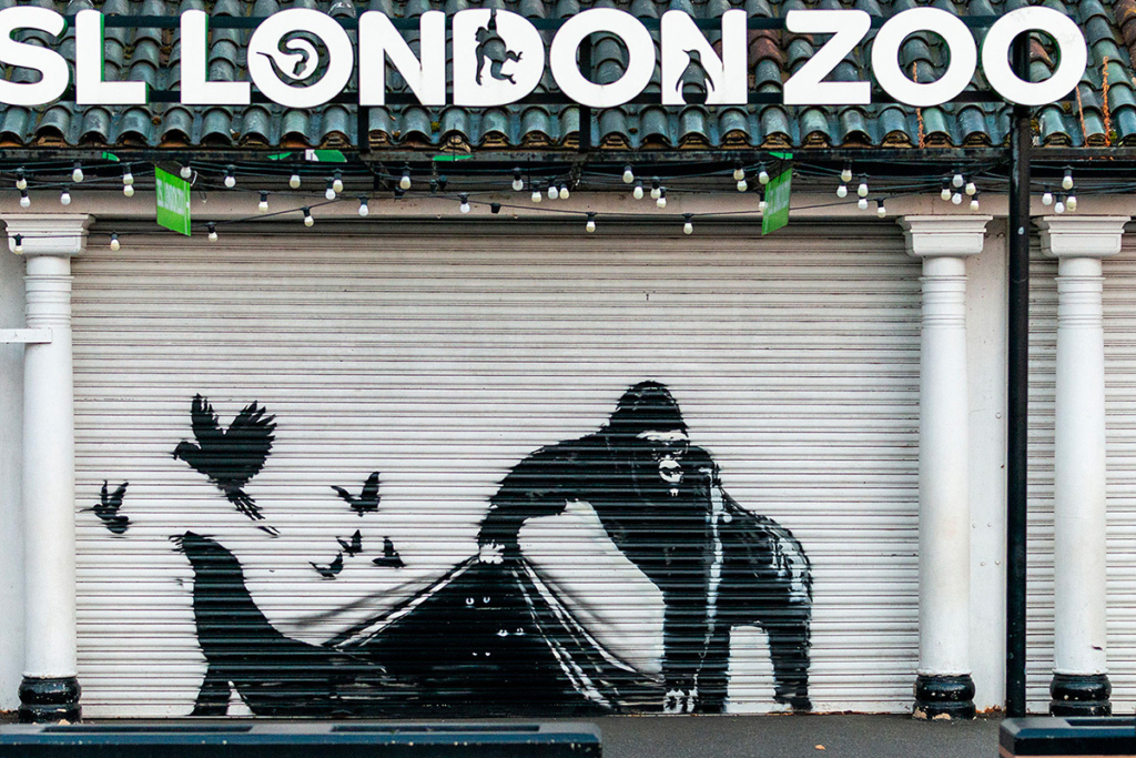 Banksy con il suo 9 nono murale libera gli animali dello zoo di Londra